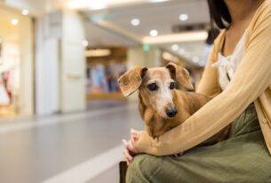 Centro Traki Cabudare ¡Un éxito jornada médica veterinaria en pro de las mascotas! - FOTO