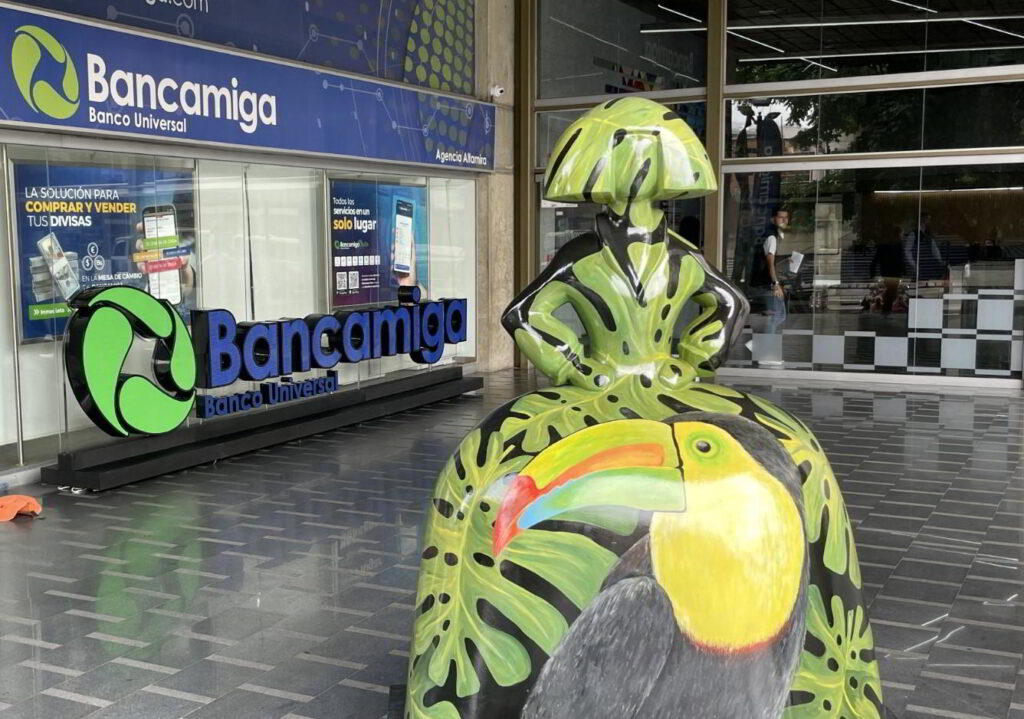 Bancamiga Meninas ES y BFN