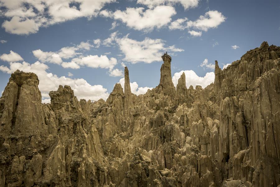 Estudio del suelo determina cómo el clima y uso humano afectan su erosión