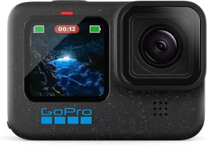 Go Pro