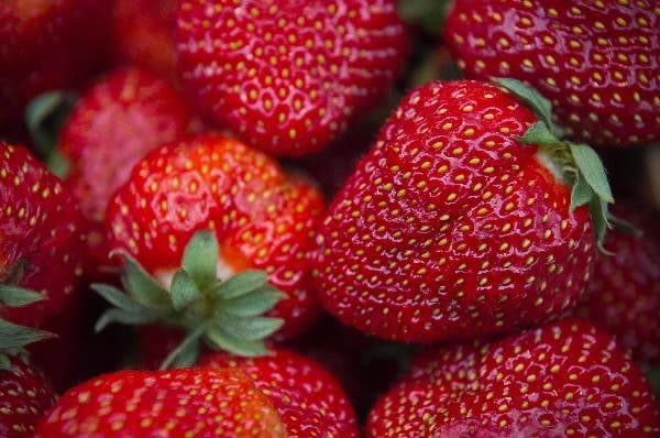 salud bucodental deporte