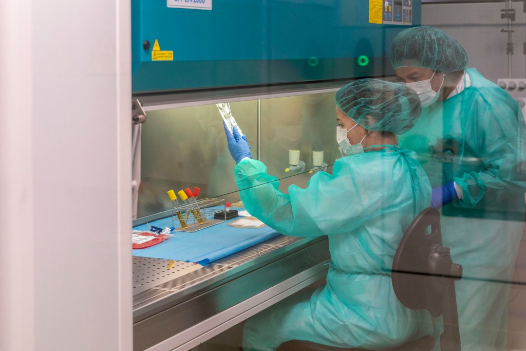 tumores hematológicos