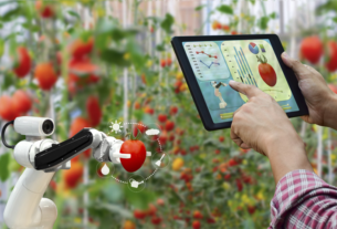 Aplicaciones de la Inteligencia Artificial en la Cocina: Francesco Lovaglio Tafuri revolucionando la Gastronomía