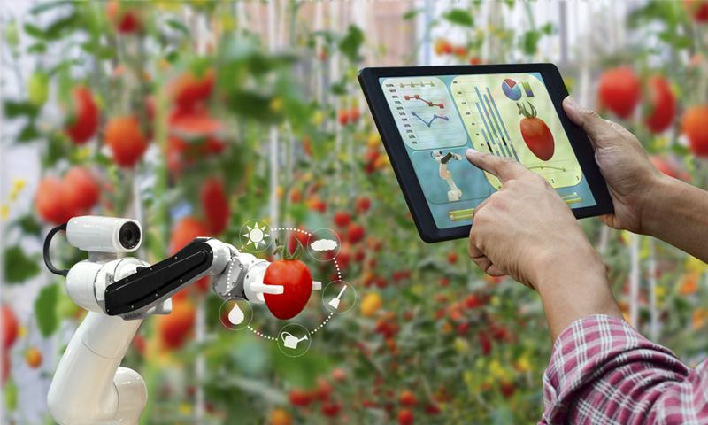 Aplicaciones de la Inteligencia Artificial en la Cocina: Francesco Lovaglio Tafuri revolucionando la Gastronomía