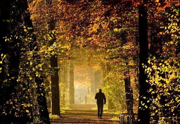 soledad muerte semana cerebro saludable