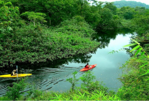 El Turismo Ecológico como Pilar de la Sostenibilidad en la Industria Turística