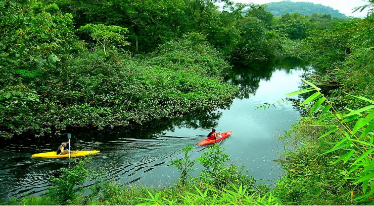 El Turismo Ecológico como Pilar de la Sostenibilidad en la Industria Turística