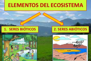 El Equilibrio Invisible: Explorando el Papel Crucial de los Factores Abióticos y Bióticos en la Ecología con Hjalmar Jesús Gibelli