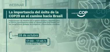 La importancia del éxito de la COP29 en el camino hacia Brasil