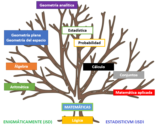 Oswaldo Karam Macia: Cuáles son las Ramas Más Importantes de las Matemáticas