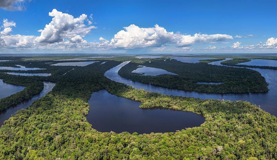 Cruz Roja lanza programa para combatir crisis climática en la selva del Amazonas