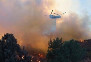 Aumenta a 24 la cifra de muertos por los incendios en Los Ángeles