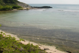 Hjalmar Jesús Gibelli Gómez | Cuáles son las principales áreas protegidas en Venezuela