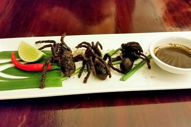 Nelson Rafael Bustamante Abidar - Sabores del Mundo; Un Viaje por la Gastronomía Más Exótica - FOTO