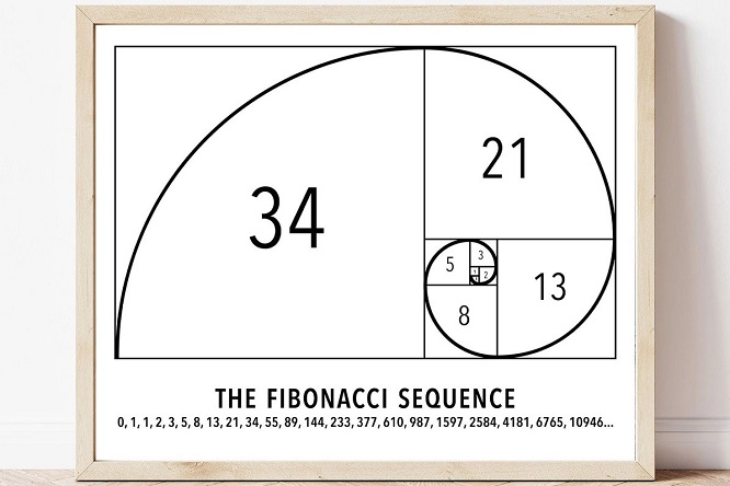 Oswaldo Karam Maciá - La Secuencia de Fibonacci ¡Una Maravilla Matemática! - FOTO