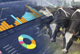 Cómo se puede mejorar la rentabilidad en una empresa ganadera