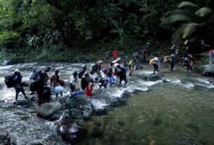 Más de 400.000 migrantes pasaron por la selva del Darién en 2024