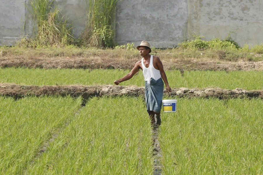 mordedura de serpiente