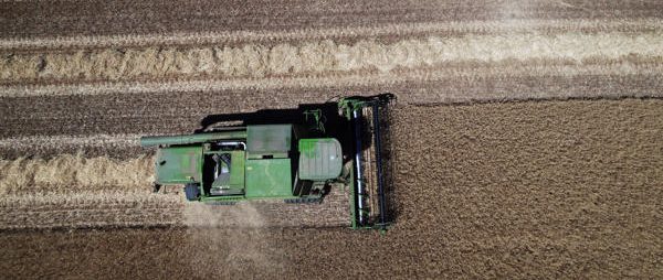 Efectos de las olas de calor en la agricultura amenazan a mil millones de personas
