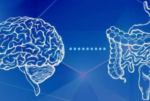 5 Claves de Mariangel Arruebarrera Loreto para Cuidar tu Segundo Cerebro