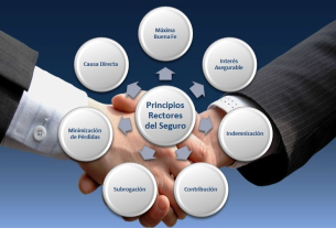 Los 7 principios del seguro por Hjalmar Gibelli