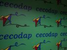 Cecodap: La inestabilidad eléctrica frena el desarrollo de niños y adolescentes