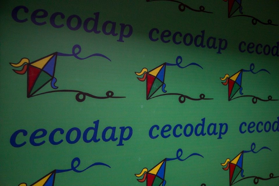 Cecodap: La inestabilidad eléctrica frena el desarrollo de niños y adolescentes