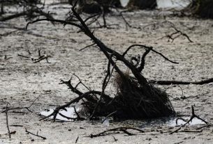FAO y PMA instan a donar 202 millones de dólares para proteger a 22 países de El Niño