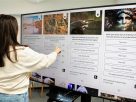 FIAPx. Nuevas categorías buscan conectar la creatividad de Iberoamérica con el mundo y reconocer lo mejor en 4 áreas