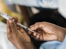 Instituto Pasteur busca frenar la desigualdad con nueva vacuna contra el chikungunya