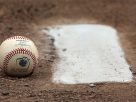 LVBP - béisbol venezolano