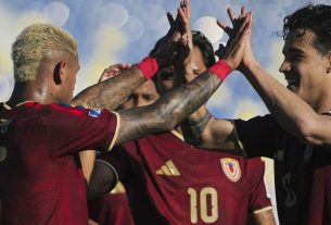 FVF - Vinotinto
