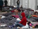 migración