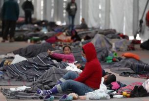 migración