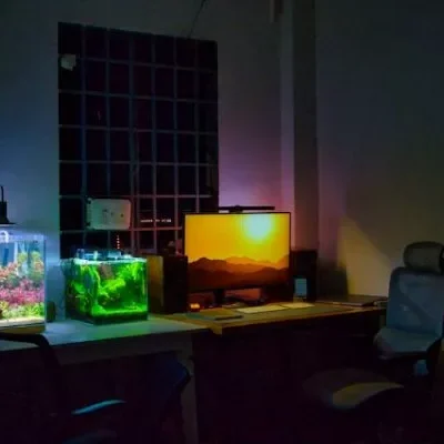 La Belleza De Lo Sencillo Lo Que Un Acuario Me