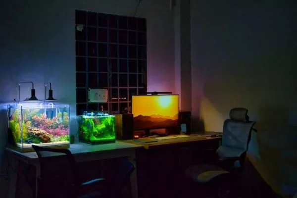 La Belleza De Lo Sencillo Lo Que Un Acuario Me